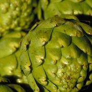 Vellutata di carciofi