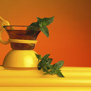 Come conservare la menta